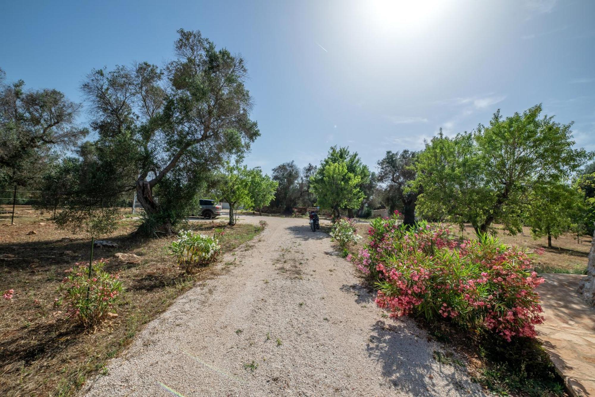 Il Trullo Di Mariangela Villa Ceglie Messapica Bagian luar foto